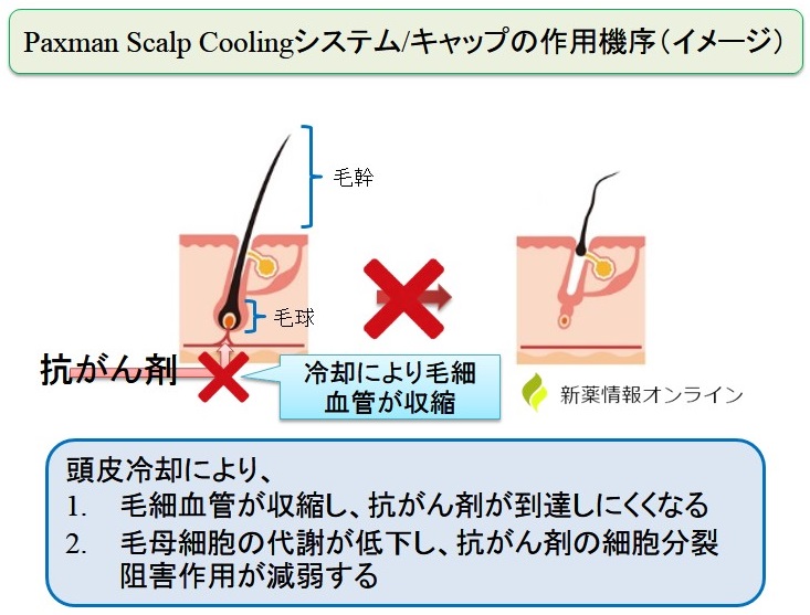 パックスマン・スカルプ・クーリングの作用機序【抗がん剤の脱毛予防