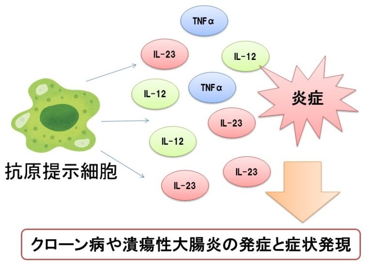医師の診察を受ける時期