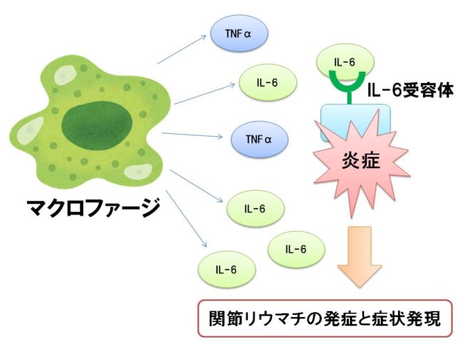 ゼルヤンツとインタラクションに関するよくある質問