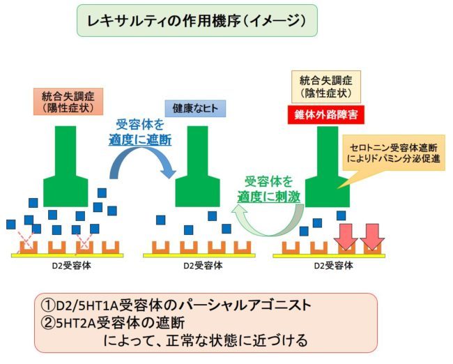レキサルティの投与量