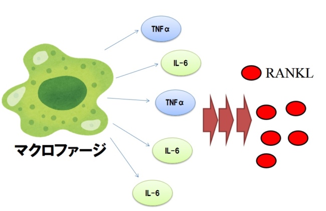財政および保険の援助