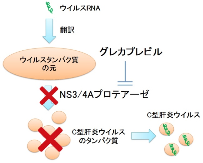マビレットのコスト