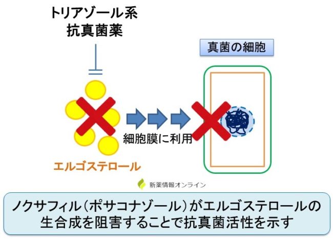 ノクサフィルのリーフレット
