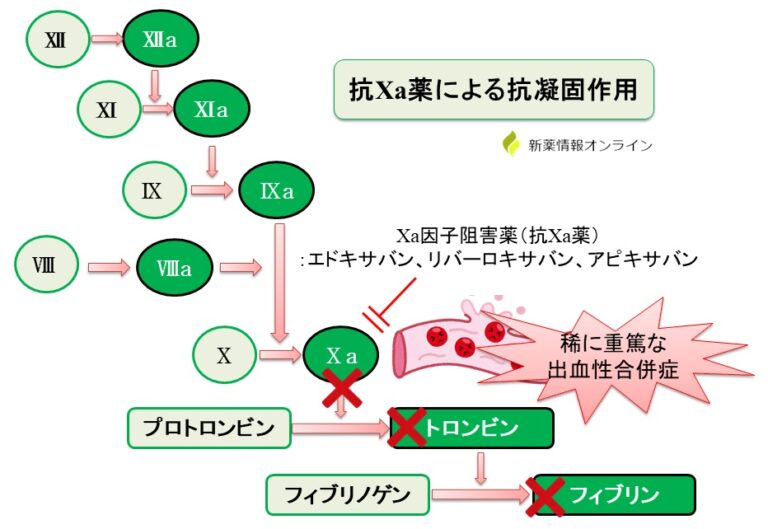 デキサメタノールのリーフレット