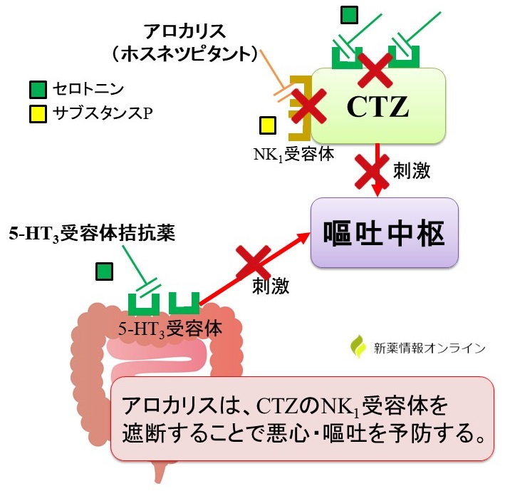 アロカリス（ホスネツピタント）の作用機序：NK1受容体拮抗薬