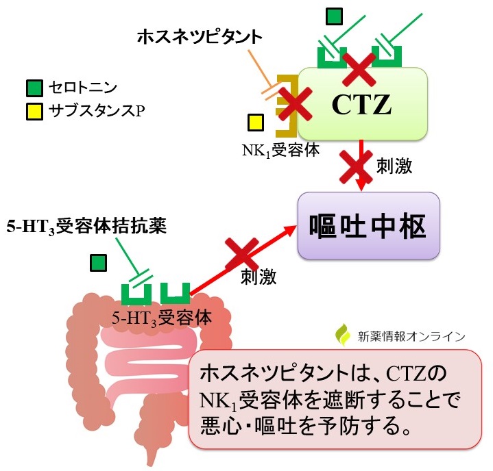 ホスネツピタントの作用機序：NK1受容体拮抗薬