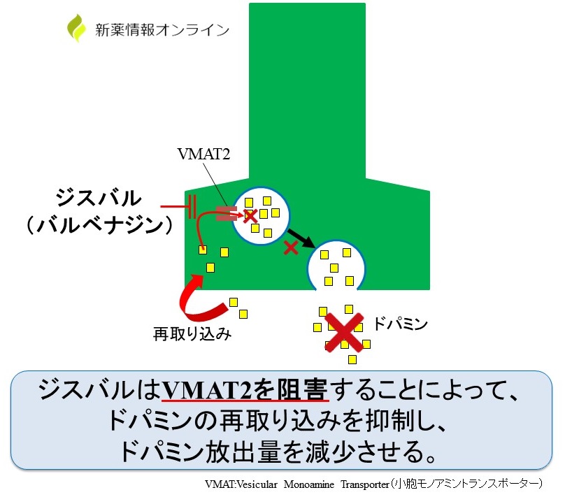 ジスバル バルベナジン の作用機序 遅発性ジスキネジア 新薬情報オンライン