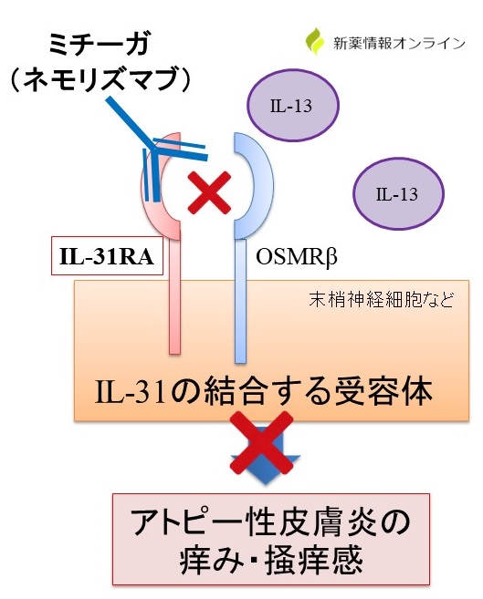 ミチーガ皮下注（ネモリズマブ）の作用機序：抗IL-31RA抗体
