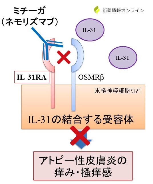 ミチーガ皮下注（ネモリズマブ）の作用機序：抗IL-31RA抗体