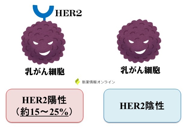 HER2陽性の乳がんの割合頻度は約15～25%