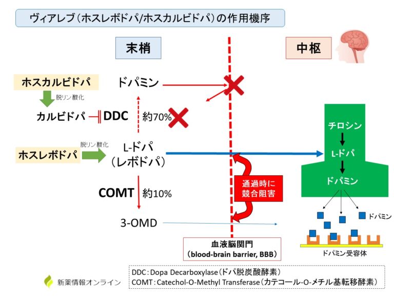 ヴィアレブ配合持続皮下注(ホスレボドパ/ホスカルビドパ)の作用機序【パーキンソン病】 新薬情報オンライン ヴィアレブ配合持続皮下注(ホスレボドパ/ホスカルビドパ)の作用機序【パーキンソン病】 新薬情報オンライン