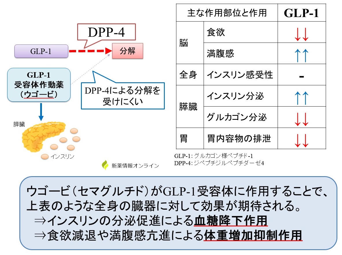 リベルサスは使用します