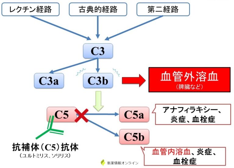 補体