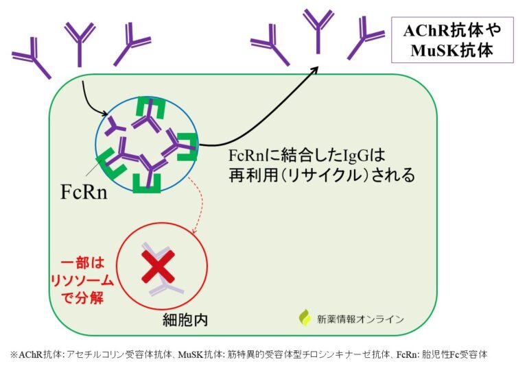 リスティゴの投与量