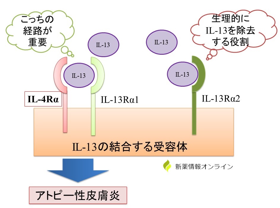 エググラスコスト