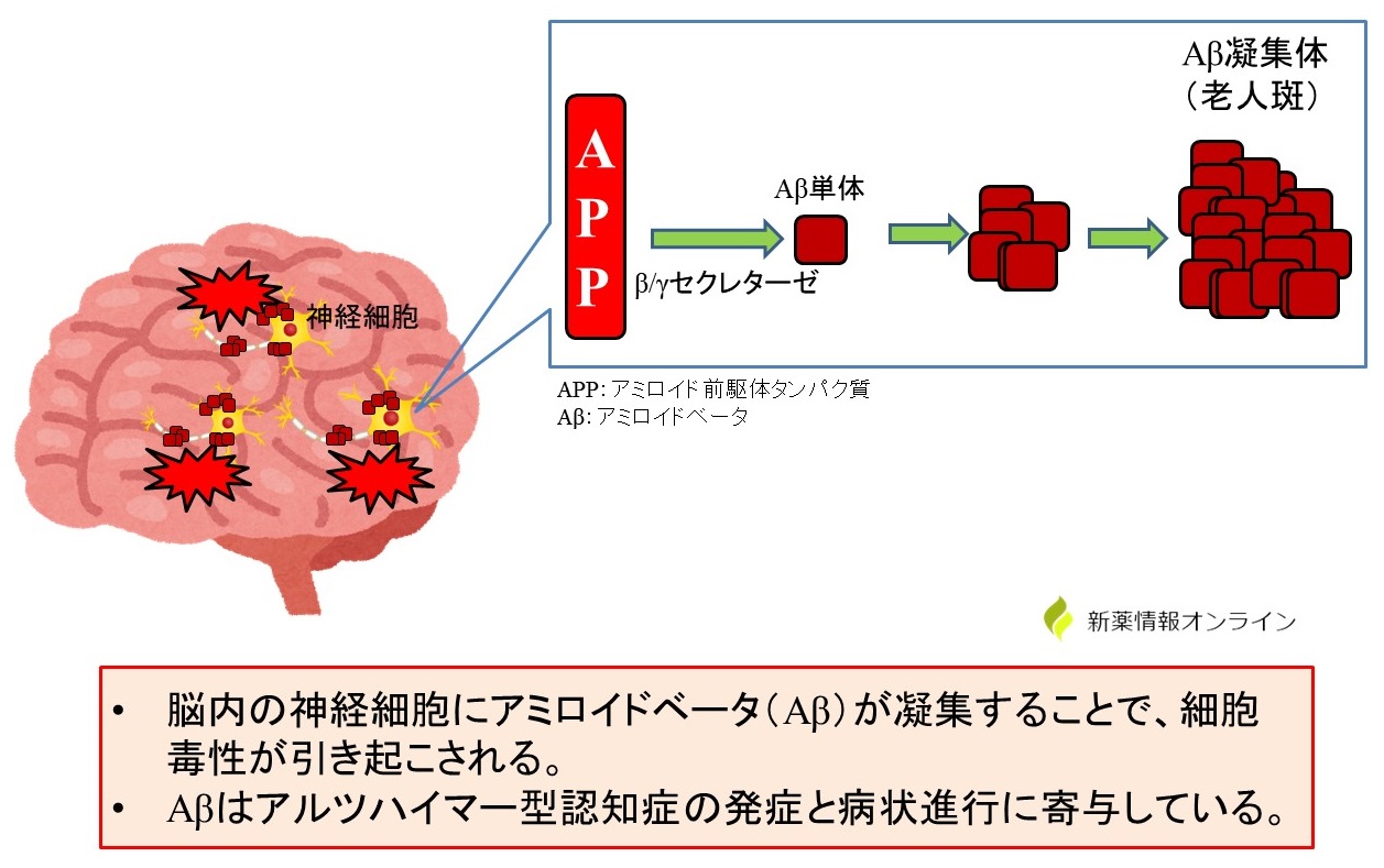 アミロイドベータ（Aβ）はアルツハイマー型認知症の発症・進行に関与している