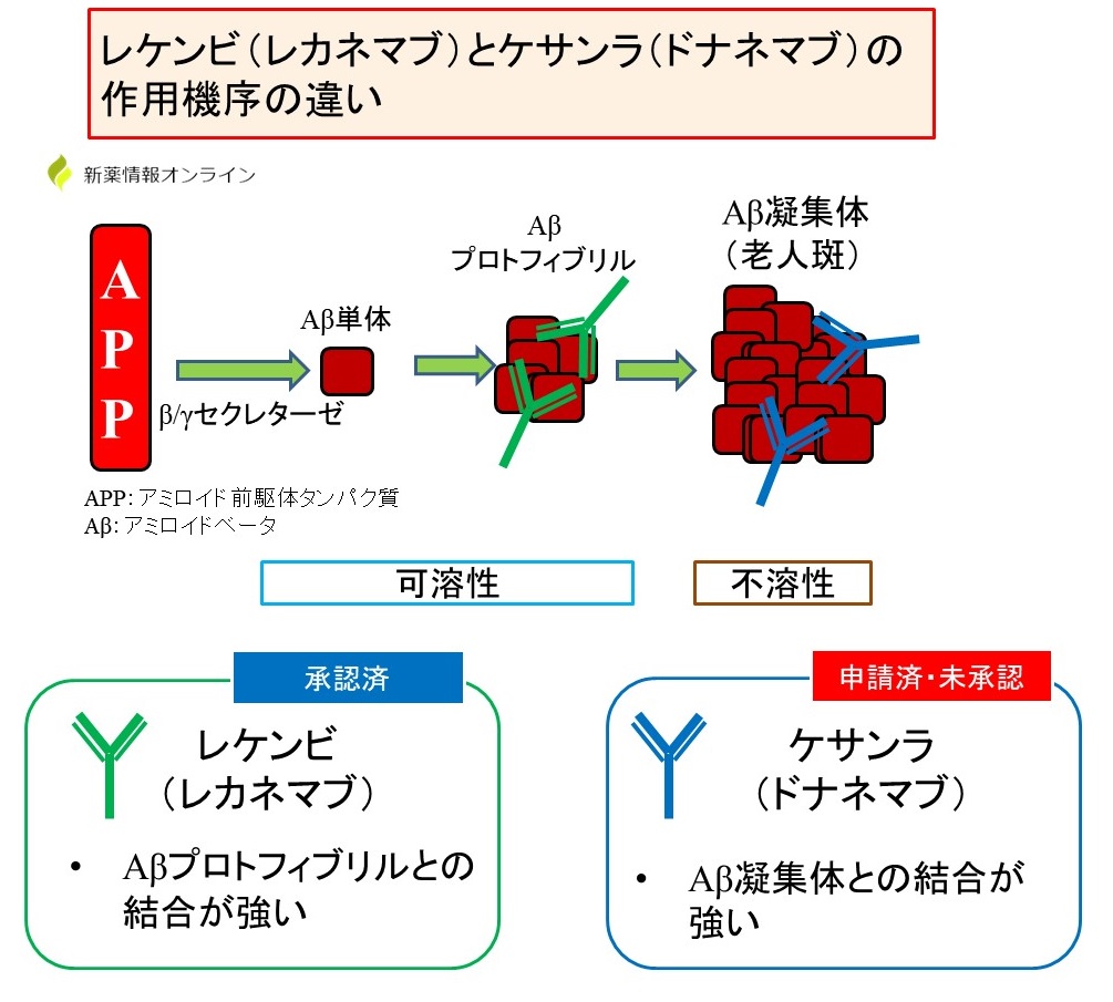 ケサンラとレケンビの作用機序の違い：アミロイドβプロトフィブリルか凝集体かが異なっている