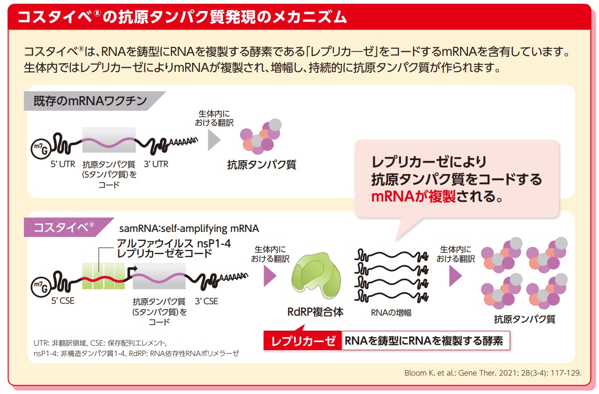 レプリコンワクチンのコスタイベの作用機序