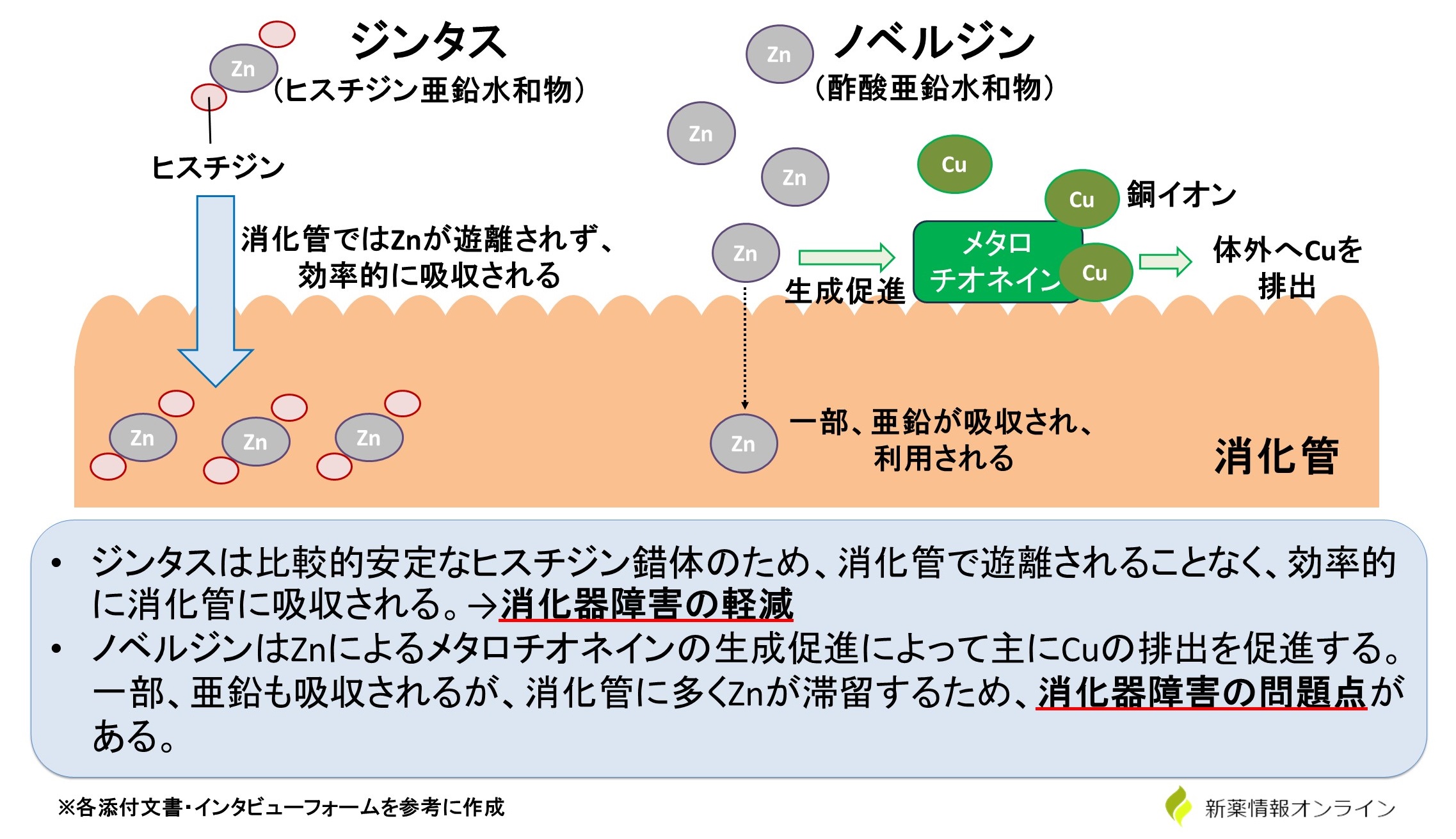 ジンタスの作用機序、ノベルジンとの作用の違いについて図解