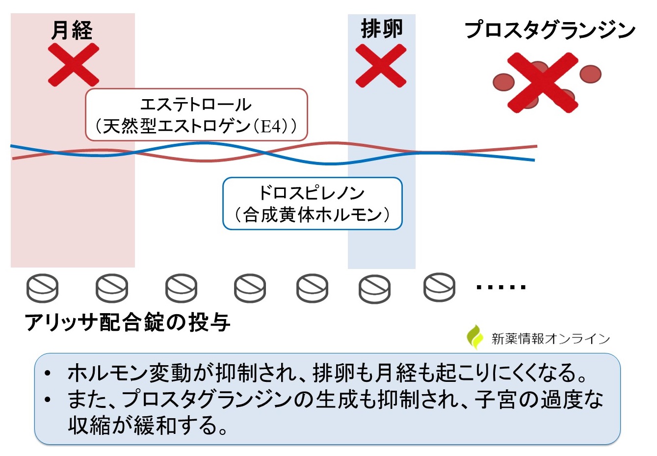 アリッサ配合錠の作用機序：エステトロールとドロスピレノンの配合錠