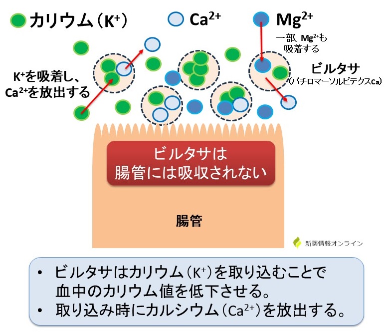 ビルタサ（パチロマー）の作用機序：ナトリウムを含まない陽イオン結合非吸着性ポリマー