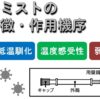 フルミスト点鼻液の作用機序【経鼻弱毒生インフルエンザワクチン】