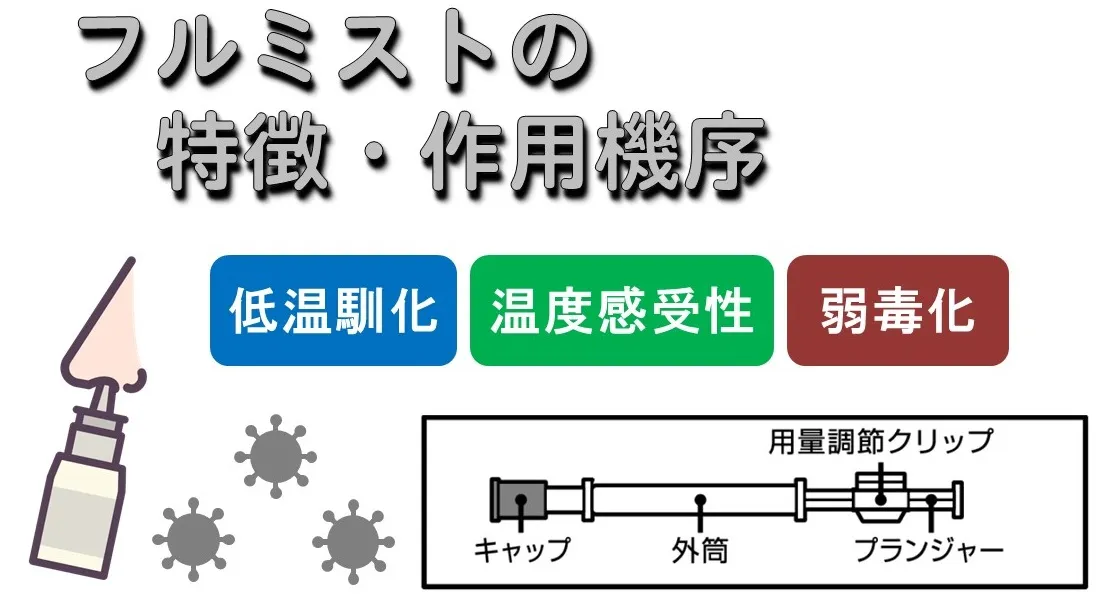 フルミスト点鼻液の作用機序【経鼻弱毒生インフルエンザワクチン】