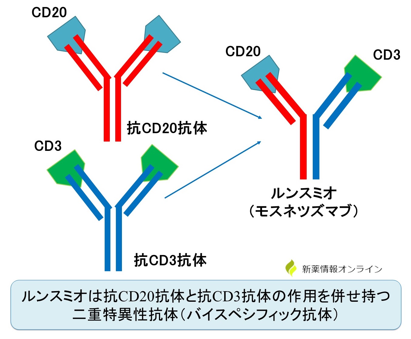 ルンスミオ（モスネツズマブ）の構造：二重特異性抗体