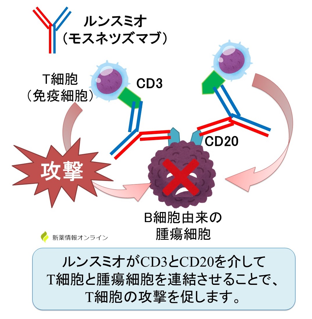 ルンスミオ（モスネツズマブ）の作用機序
