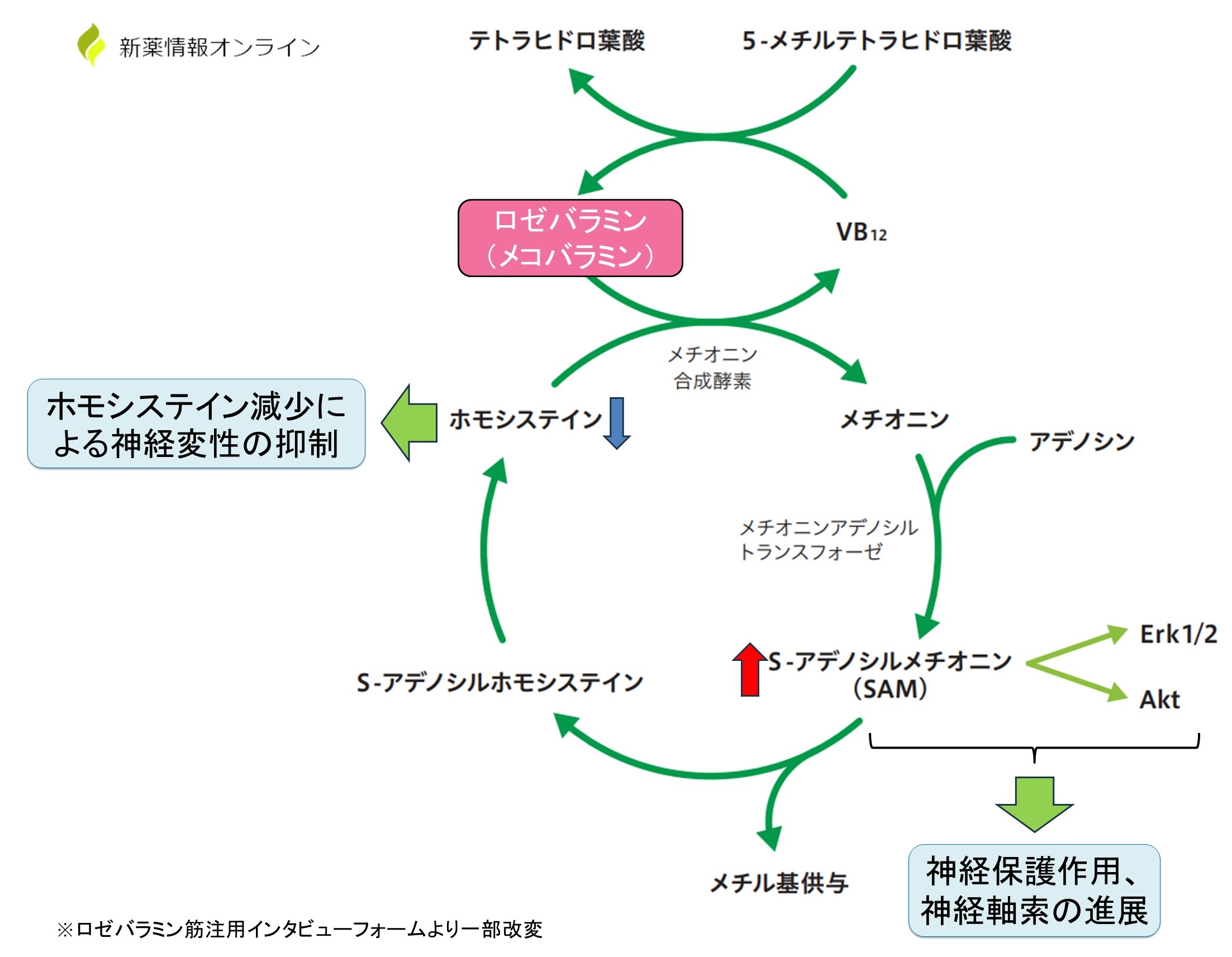 ロゼバラミン（メコバラミン）の作用機序