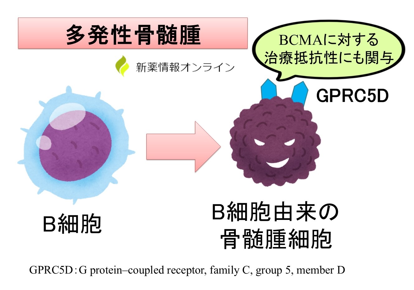 多発性骨髄腫とGPRC5D