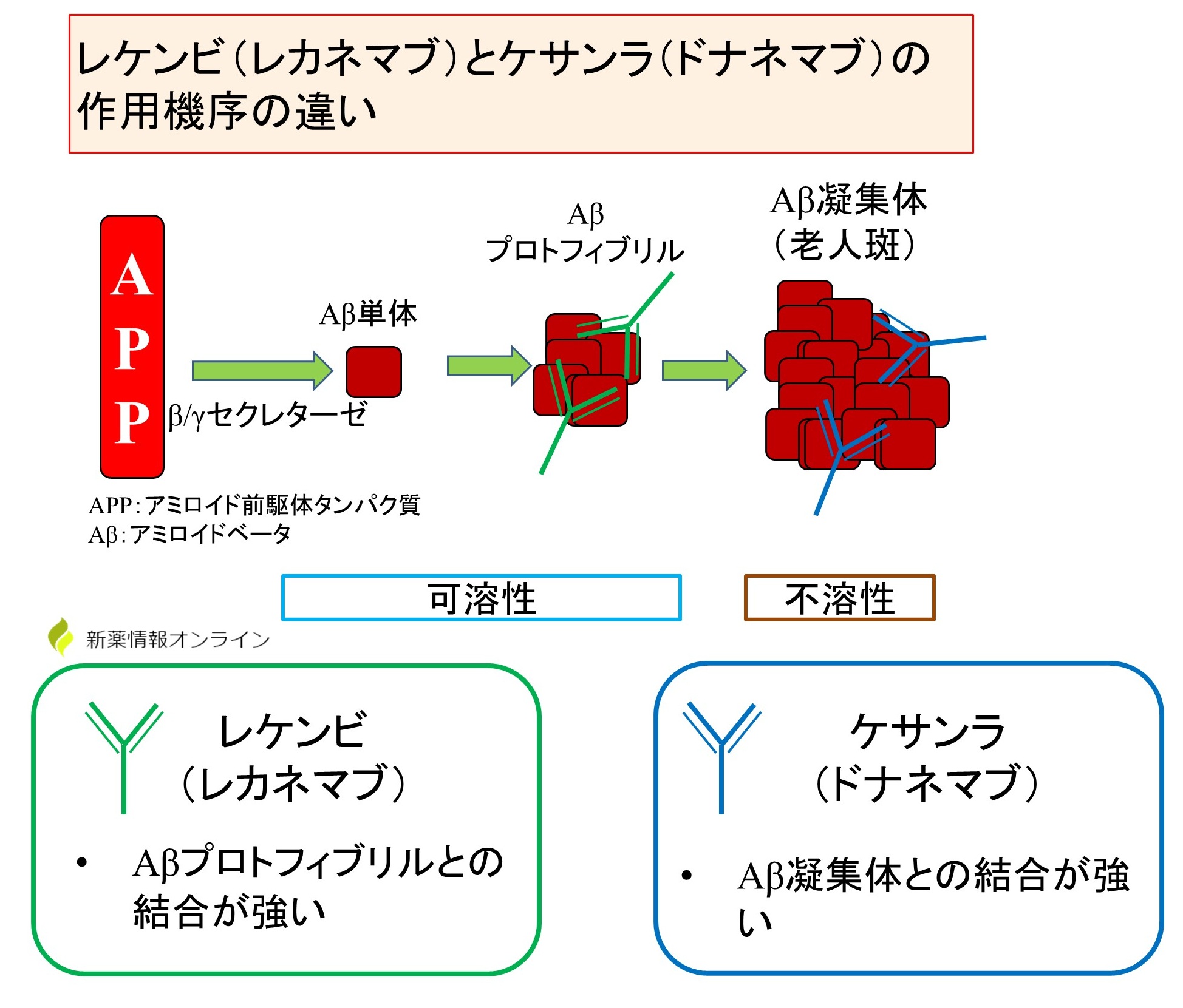 ケサンラとレケンビの作用機序の違い：アミロイドβプロトフィブリルか凝集体かが異なっている