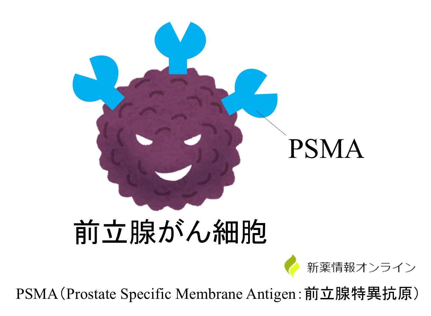 前立腺がんとPSMA（Prostate Specific Membrane Antigen：前立腺特異抗原）