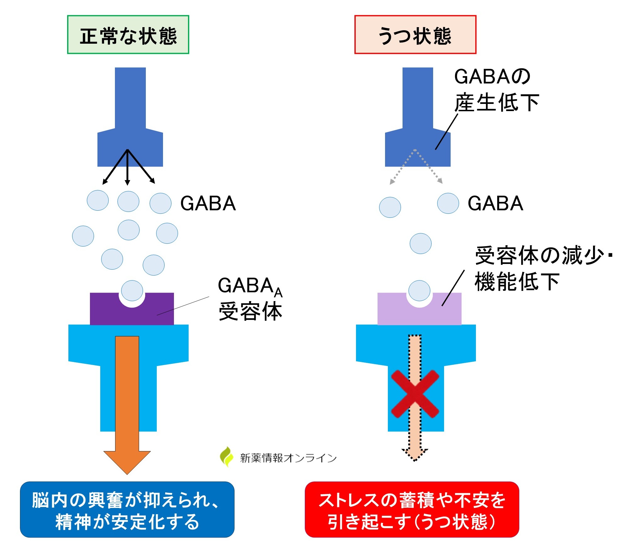 うつ病におけるGABAの関連性：GABAの低下によって抑制系神経の働きが低下している