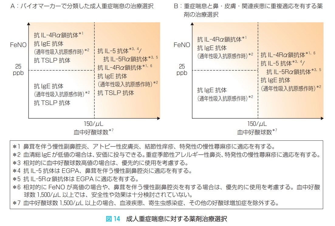 成人重症喘息に対する生物学的製剤の薬剤治療選択・使い分けの指標