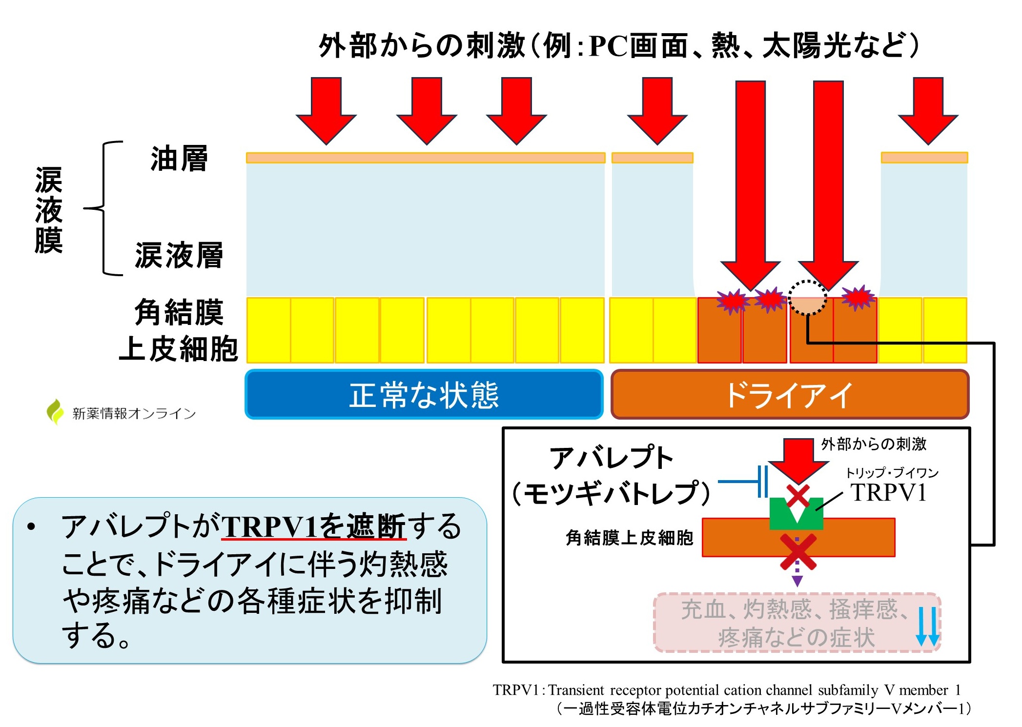 アバレプト(モツギバトレプ)の作用機序:TRPV1拮抗薬