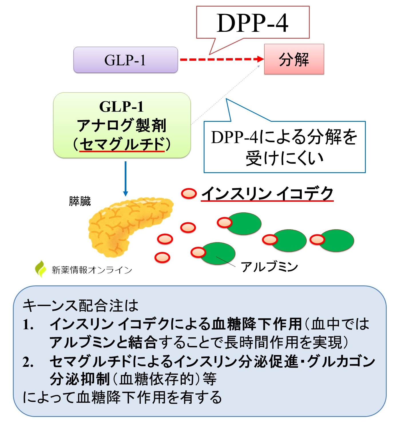 キーンス（インスリンイコデク+セマグルチド）の作用機序