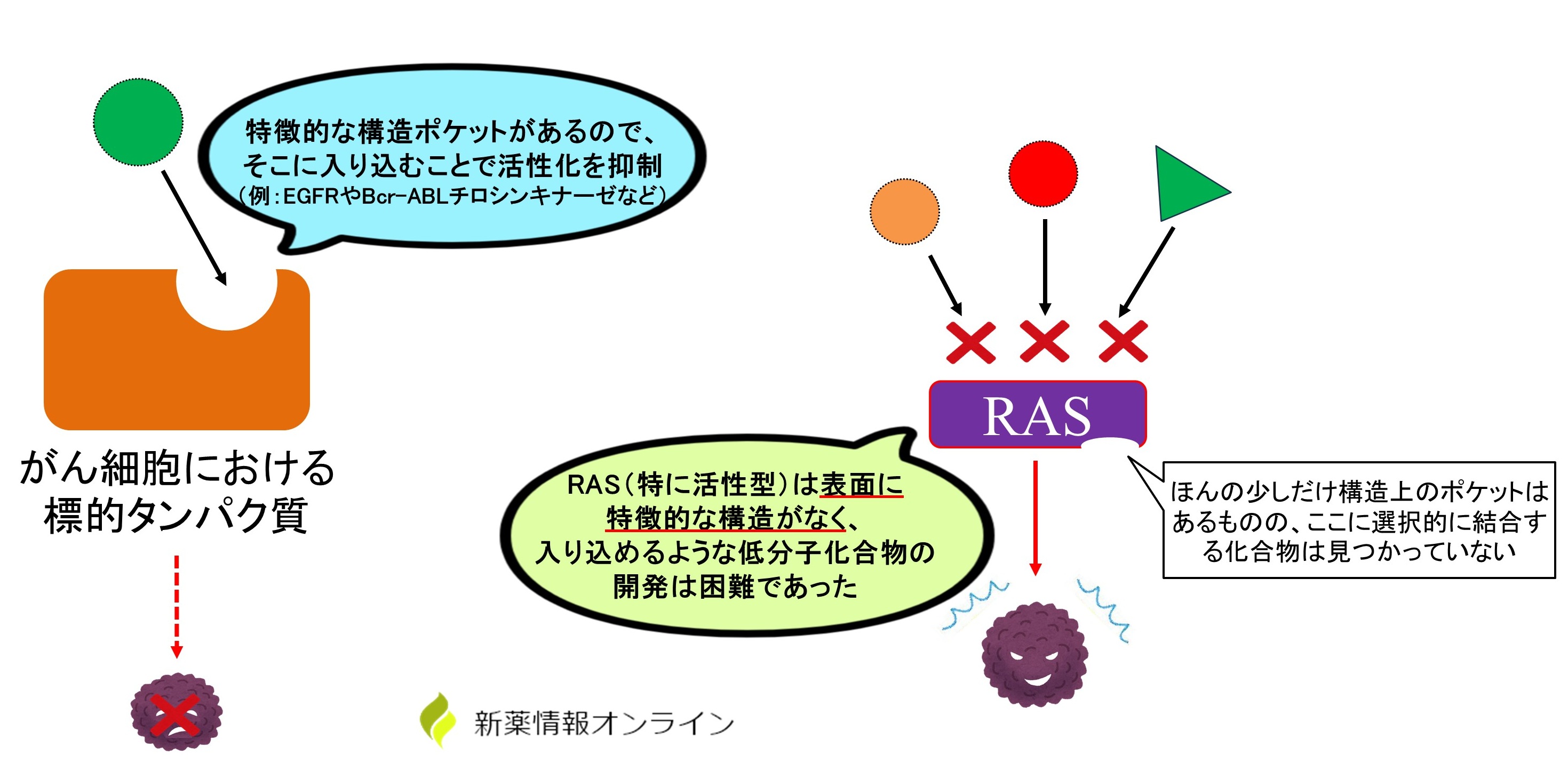RASを標的とした化合物開発は非常に困難であった