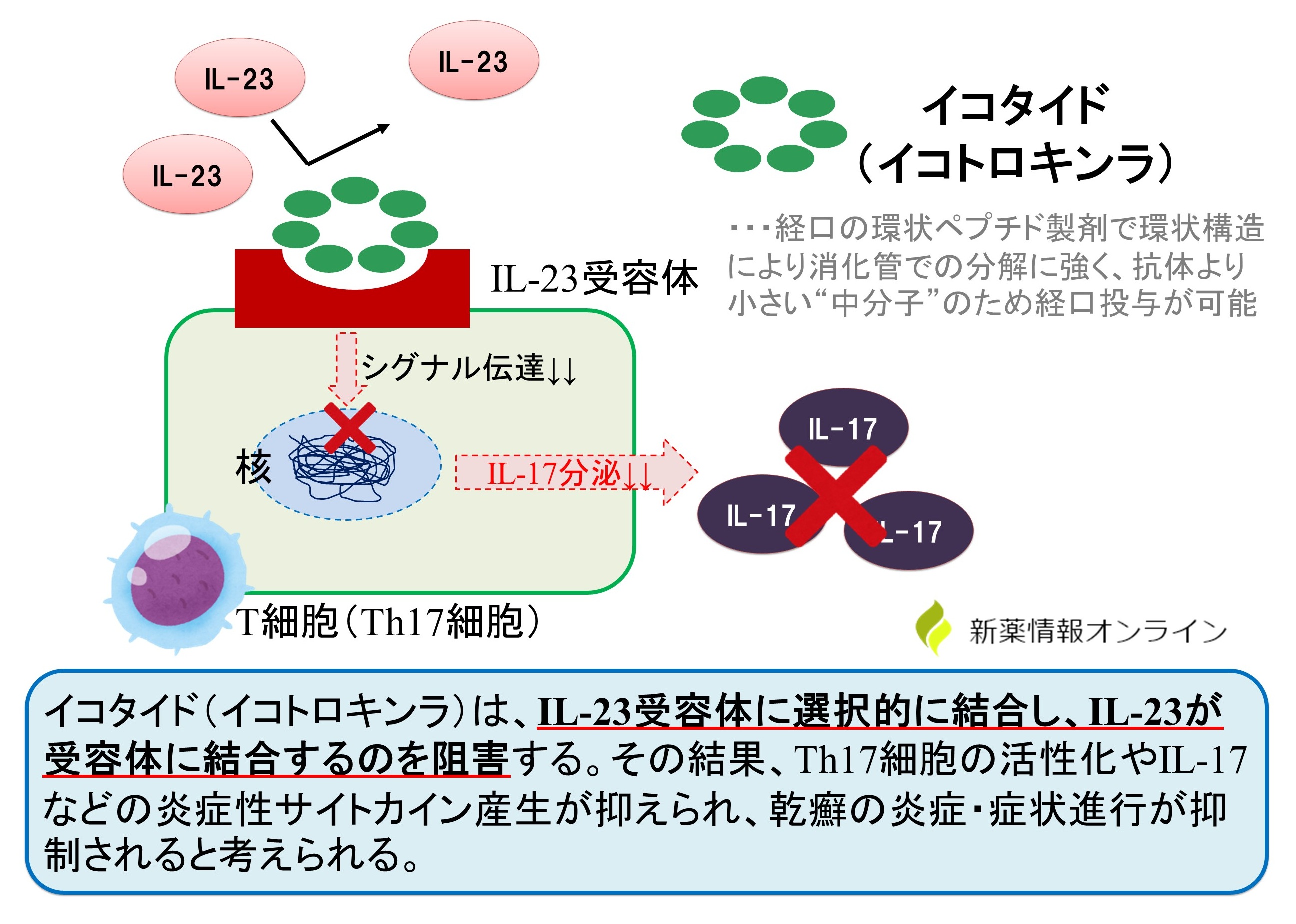 イコタイド錠(イコトロキンラ)の作用機序・特徴