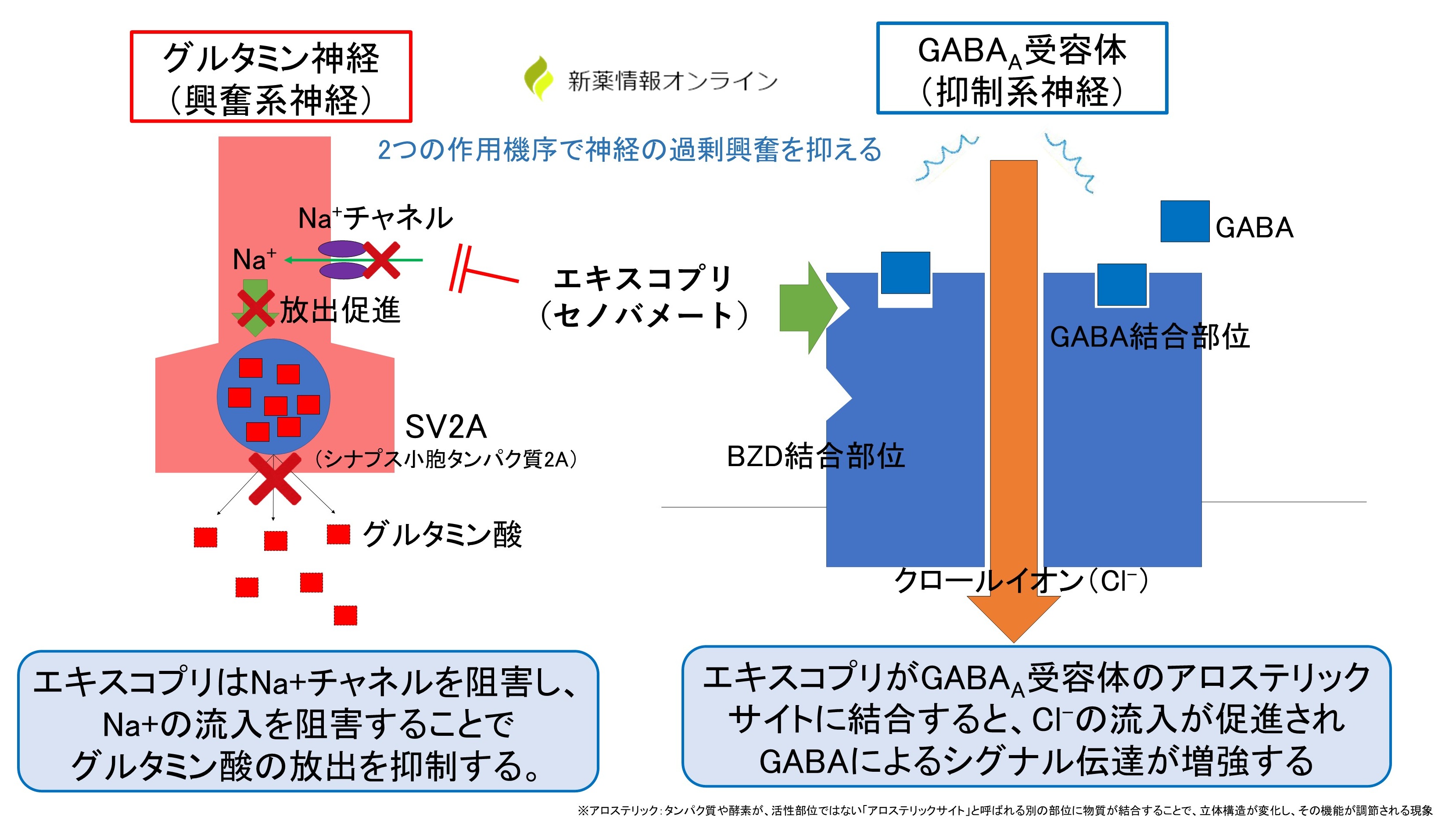 エキスコプリ(セノバメート)の作用機序