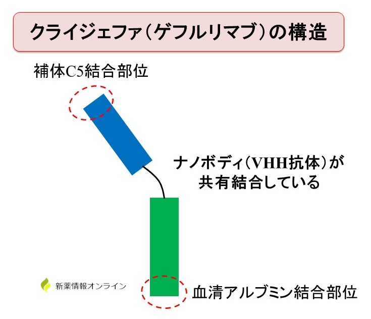 クライジェファ（ゲフルリマブ）の構造：二重結合ナノボディ